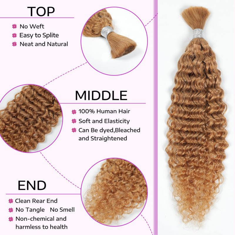 Human Braiding Hair 14Inch Water Wave Bulk Human Hair for Braiding 100G 2Bundle/Pack No Weft Human Hair Bundles for Braiding Micro Human Braiding Hair for Boho Braids(14Inch,27#)