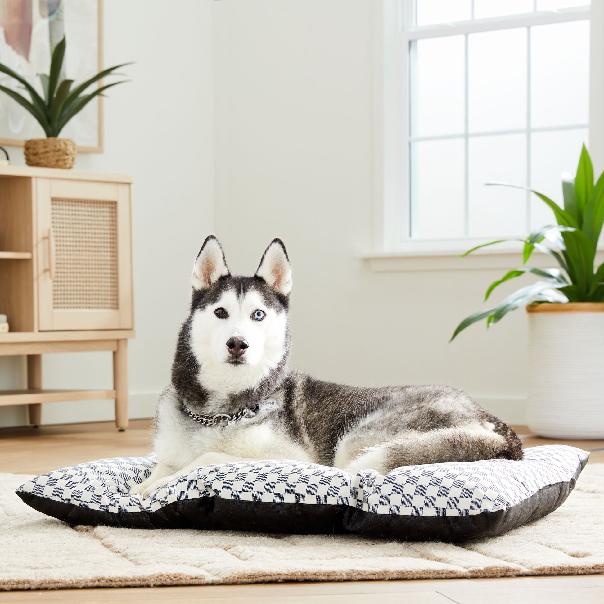 Bed for Dogs, Tufted Pillow, Machine Washable, Black and White Checkered, 35" X 27"