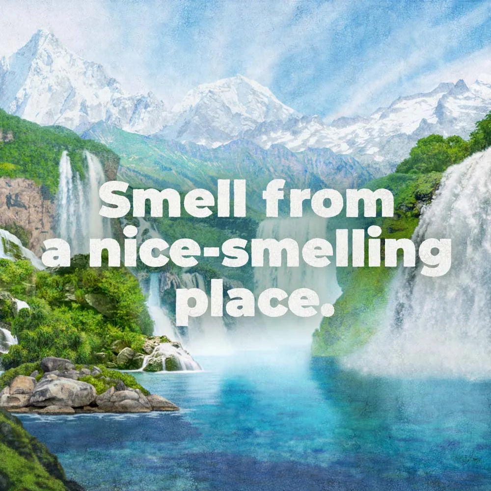 Bar Soap, Aloe Mist Deodorant, All Skin Types, 3.7Oz, 3 Pack