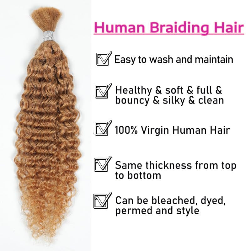 Human Braiding Hair 14Inch Water Wave Bulk Human Hair for Braiding 100G 2Bundle/Pack No Weft Human Hair Bundles for Braiding Micro Human Braiding Hair for Boho Braids(14Inch,27#)